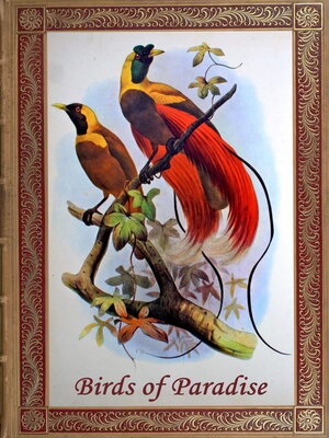 cover image of Birds of Paradise